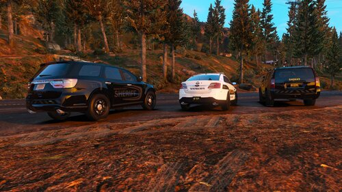 Could contain: vehicle, land vehicle, outdoor, wheel, tire, transport, tree, road, motor vehicle, automotive exterior, ground, auto part, car, sport utility vehicle, van