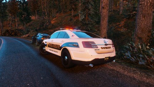 Could contain: vehicle, land vehicle, outdoor, wheel, tree, car, tire, transport, bumper, automotive exterior, road, auto part, sport utility vehicle, vehicle registration plate, police car, ford, automotive light bulb, automotive lighting, street, ground