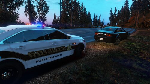 Could contain: vehicle, land vehicle, outdoor, wheel, car, transport, tire, police car, tree, text, law enforcement, automotive exterior, ford, full-size car, auto part, police