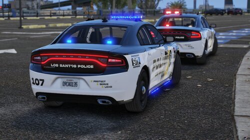 Could contain: vehicle, land vehicle, text, wheel, outdoor, road, tire, police car, vehicle registration plate, full-size car, auto part, automotive exterior, police, ford, mid-size car, bumper, law enforcement, automotive light bulb, car, street, ground, emergency