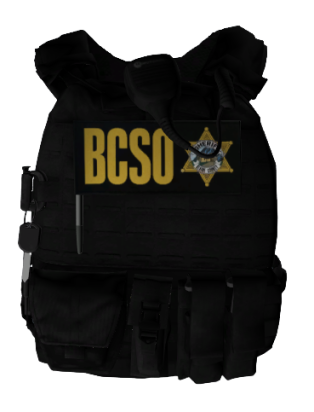 Could contain: luggage and bags, bag, backpack, vest