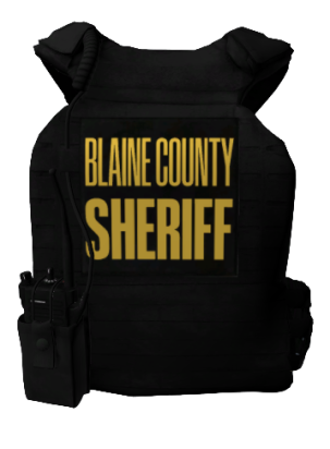 Could contain: text, luggage and bags, vest