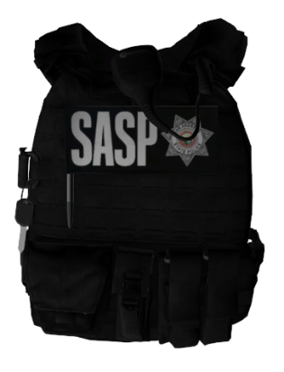 Could contain: luggage and bags, zipper, backpack, bag