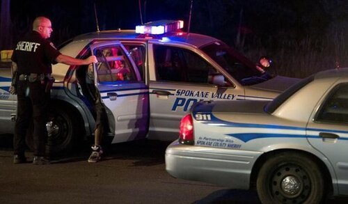 Could contain: vehicle, land vehicle, wheel, transport, tire, law enforcement, police car, outdoor, car, clothing, emergency service, full-size car, emergency vehicle, ford crown victoria police interceptor, auto part, person, police, street