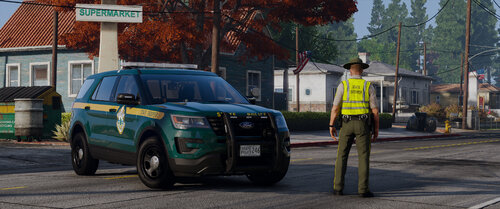 Could contain: outdoor, vehicle, land vehicle, wheel, text, road, tire, building, tree, car, vehicle registration plate, sport utility vehicle, transport, street, person, police, officer