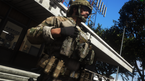 Could contain: outdoor, sky, clothing, person, tree, building, military organization, soldier, army, military person, camouflage, military camouflage, helmet, infantry, marines, human face, military officer, military uniform, military, uniform, wearing