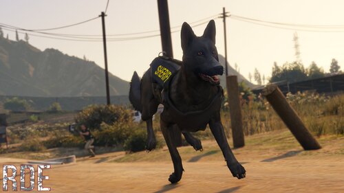 Could contain: outdoor, dog, mammal, ground, black, animal, mountain, running