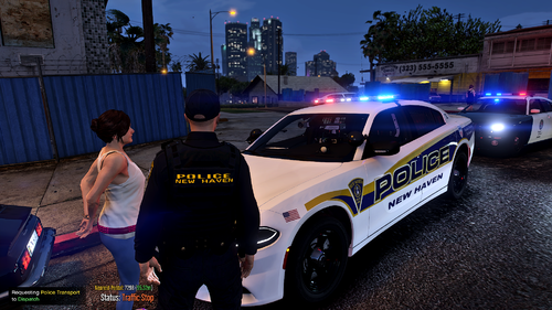 Could contain: vehicle, land vehicle, transport, text, wheel, outdoor, clothing, car, tire, police car, law enforcement, full-size car, person, police