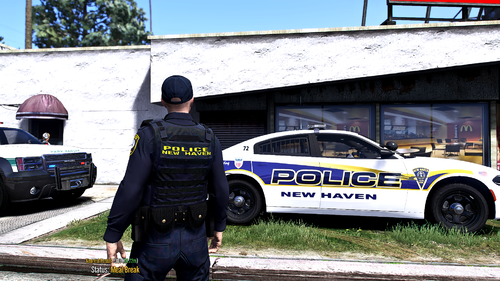 Could contain: text, land vehicle, vehicle, wheel, outdoor, clothing, law enforcement, tire, police, person, police car, auto part, emergency service, officer, full-size car, transport, car