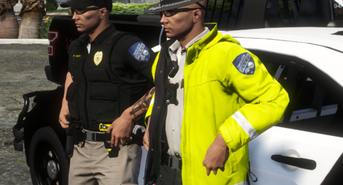 Could contain: clothing, person, vehicle, land vehicle, outdoor, law enforcement, man, police officer, officer, jacket, high-visibility clothing, security, police, car, standing