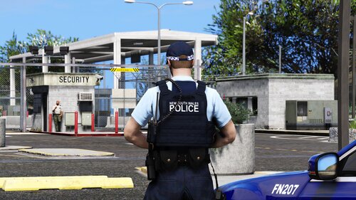 Could contain: outdoor, person, clothing, land vehicle, vehicle, sky, police, car, man, law enforcement, building, police officer, officer, tree, road, vest, backpack, street