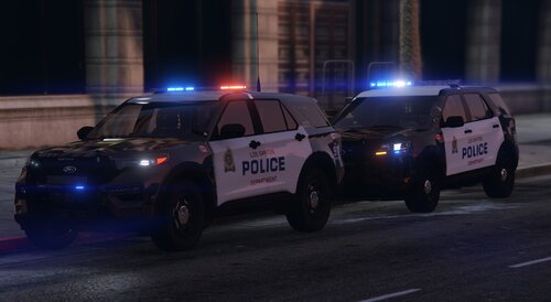 Could contain: vehicle, land vehicle, wheel, outdoor, tire, transport, road, law enforcement, police car, building, auto part, text, car, automotive exterior, street, police, light, night