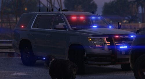 Could contain: vehicle, land vehicle, tire, wheel, outdoor, car, auto part, transport, bumper, pickup truck, law enforcement, road, police, truck, light, night, parked