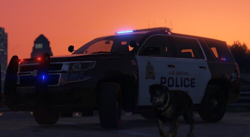 Could contain: land vehicle, vehicle, sky, outdoor, wheel, transport, tire, law enforcement, sport utility vehicle, animal, automotive exterior, roof rack, car, dog, sunset, police