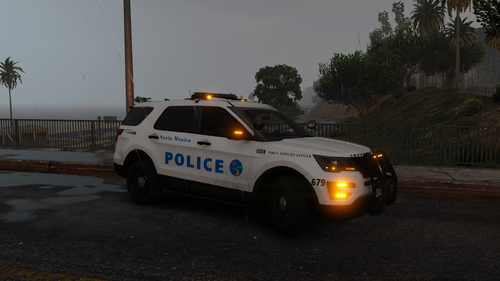 Could contain: vehicle, land vehicle, outdoor, wheel, transport, sky, tire, police car, law enforcement, tree, road, ford, automotive exterior, auto part, emergency service, emergency vehicle, car, police, street