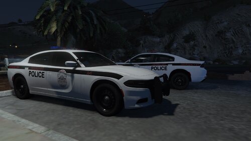 Could contain: vehicle, land vehicle, wheel, transport, outdoor, car, tire, police car, full-size car, police, auto part, law enforcement, ground