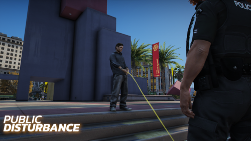 Could contain: clothing, man, person, sky, outdoor, trousers, officer