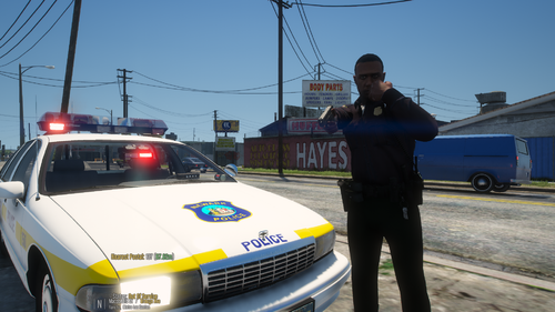 Could contain: vehicle, land vehicle, outdoor, sky, wheel, clothing, person, transport, text, vehicle registration plate, police, law enforcement, ford, full-size car, tire, police car, emergency vehicle, emergency service, car, standing