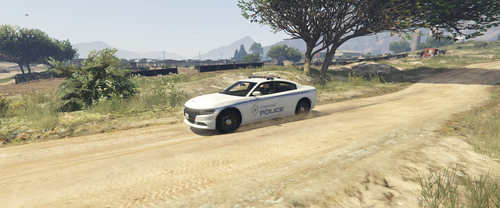 Could contain: outdoor, vehicle, land vehicle, car, transport, wheel, tree, grass, motorsport, ground, tire, sports car, road, driving, rally