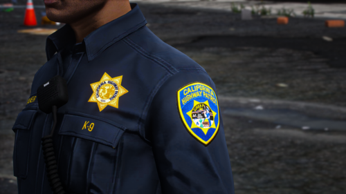 Could contain: person, outdoor, clothing, law enforcement, man, official, police officer, security, government agency, officer, uniform, ground, police