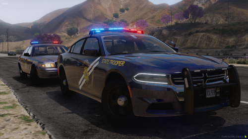 Could contain: vehicle, land vehicle, outdoor, wheel, tire, bumper, full-size car, transport, sedan, vehicle registration plate, law enforcement, police car, car, mid-size car, grille, ford, auto part, text, mountain, police