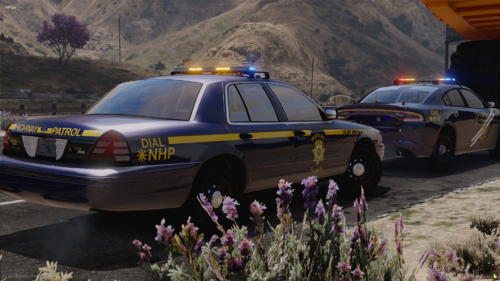 Could contain: vehicle, land vehicle, outdoor, wheel, flower, car, transport, ground, mountain, police