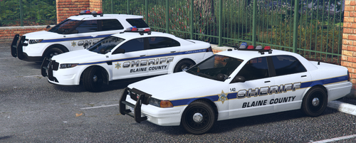 Could contain: vehicle, land vehicle, wheel, outdoor, transport, law enforcement, police car, text, full-size car, ford crown victoria police interceptor, emergency service, tire, emergency vehicle, car, police