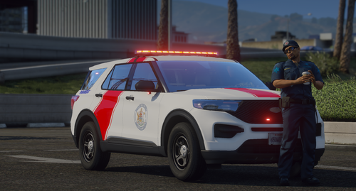 Could contain: vehicle, land vehicle, outdoor, wheel, tire, transport, person, clothing, car, rally, road, city car, police