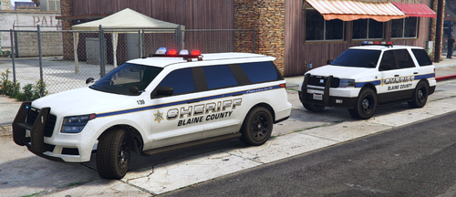Could contain: vehicle, land vehicle, wheel, outdoor, text, law enforcement, police car, transport, tire, emergency service, emergency vehicle, vehicle registration plate, police van, ford crown victoria police interceptor, ford, auto part, car, full-size car, automotive exterior, police, van