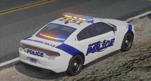 Could contain: vehicle, land vehicle, wheel, text, transport, car, outdoor, tire, police car, auto part, full-size car, road, police, ford, law enforcement, automotive light bulb, ford motor company, vehicle registration plate, automotive exterior, ground, street