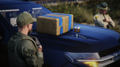 Could contain: outdoor, clothing, person, car, land vehicle, law enforcement, blue, vehicle