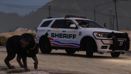 Could contain: vehicle, land vehicle, outdoor, tire, wheel, transport, law enforcement, police car, ford, sport utility vehicle, bumper, mammal, text, car, ground, racing, police