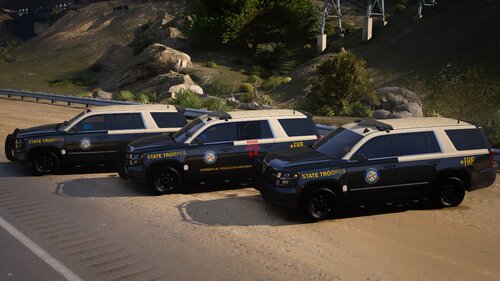 Could contain: vehicle, land vehicle, outdoor, wheel, transport, law enforcement, police car, police, car, ground, road, mountain